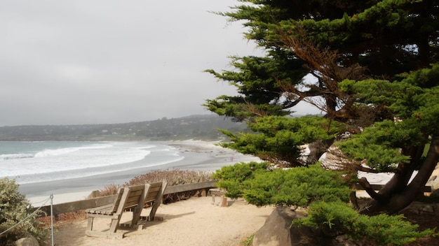 Resto de banco de madera vacío en sendero sendero océano playa árboles de la costa de california