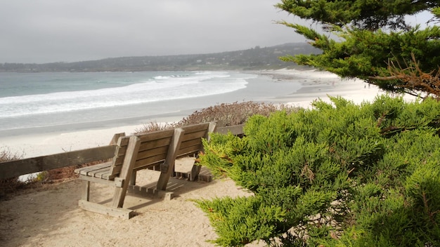 Resto de banco de madera vacío en sendero sendero océano playa árboles de la costa de california