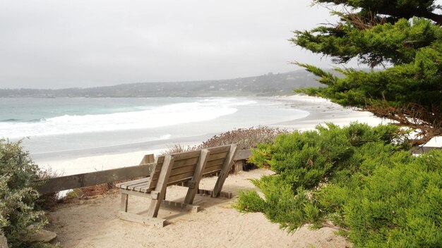 Resto de banco de madera vacío en sendero sendero océano playa árboles de la costa de california
