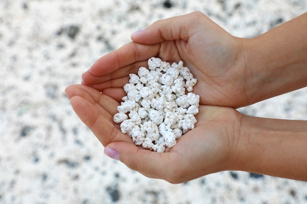 Restos de coral blanco que parecen palomitas de maíz en la Playa de Majanicho, Fuerteventura