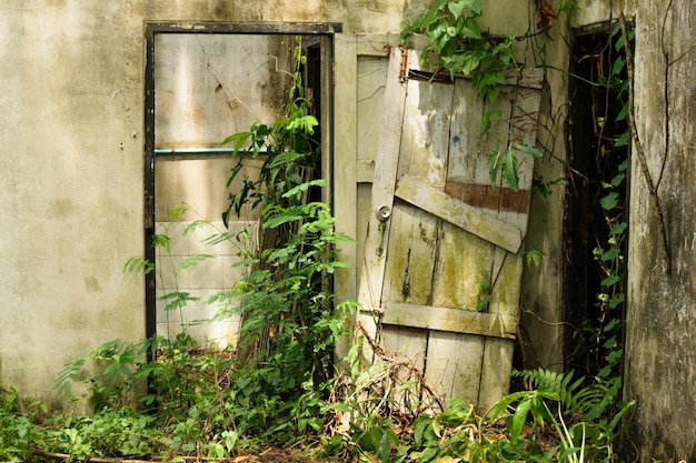 Los restos del portal de una casa en ruinas abandonada en el bosque estaban cubiertos de maleza.