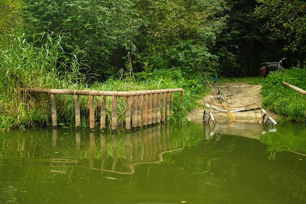 Restos de un viejo puente en la orilla del río, paisaje de bosque de verano.