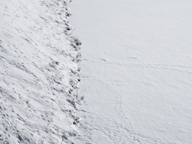 Resumen antecedentes de invierno. La orilla del lago está cubierta de nieve blanca. Paisaje cubierto de nieve. Minimalismo de invierno