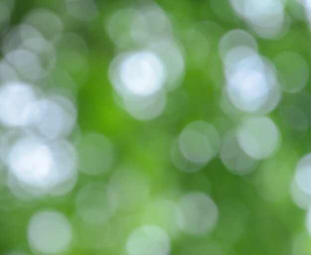 Resumen de bokeh de luces de naturaleza verde defocused