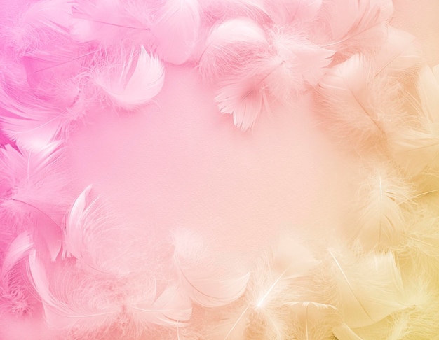 Resumen fondo borroso de delicadas plumas rosadas y amarillas Textura plumas esponjosas copia espacio