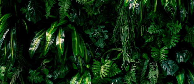 Resumen hoja verde textura hoja tropical follaje naturaleza fondo verde oscuro