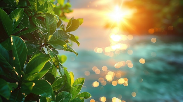 Foto resumen de la luz solar de bokeh con luz verde y amarilla borrosa de la naturaleza al amanecer en el fondo de la playa para un concepto de vacaciones de verano
