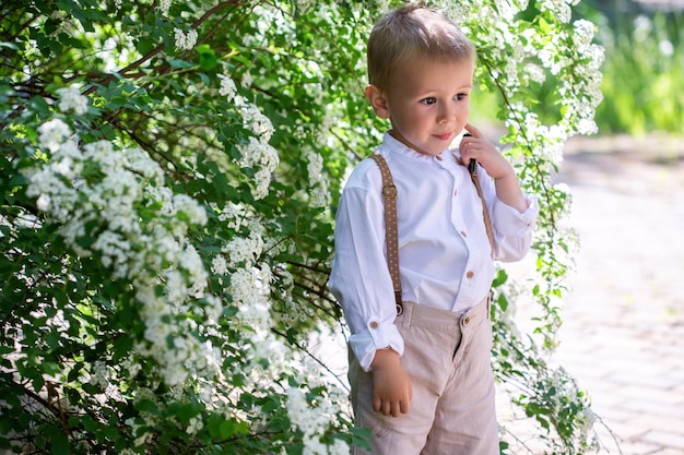 Retrato de un adorable niño caucásico en un arbusto floreciente con flores blancas de spirea con enfoque selectivo y enfoque suave.