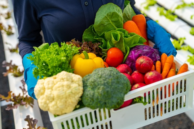 Retrato de una agricultora africana sonriente sosteniendo una caja de verduras orgánicas frescas en una plantación de invernadero hidropónico Concepto publicitario de restaurante y supermercado de entrega de alimentos para pequeñas empresas