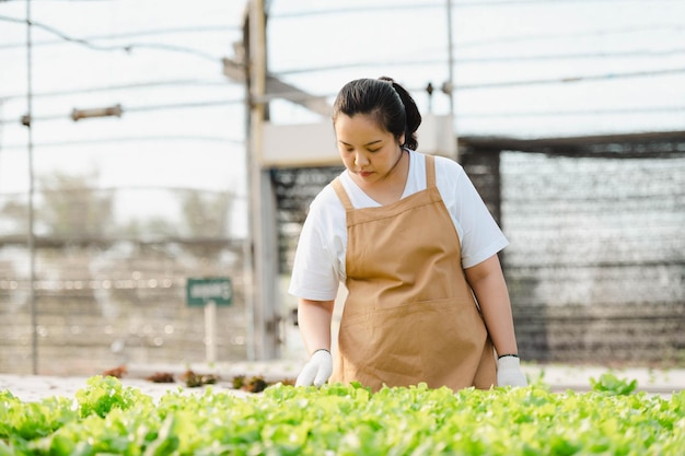 Retrato de una agricultora asiática mirando verduras en el campo y comprobando la calidad de la cosecha. Concepto de granja orgánica.