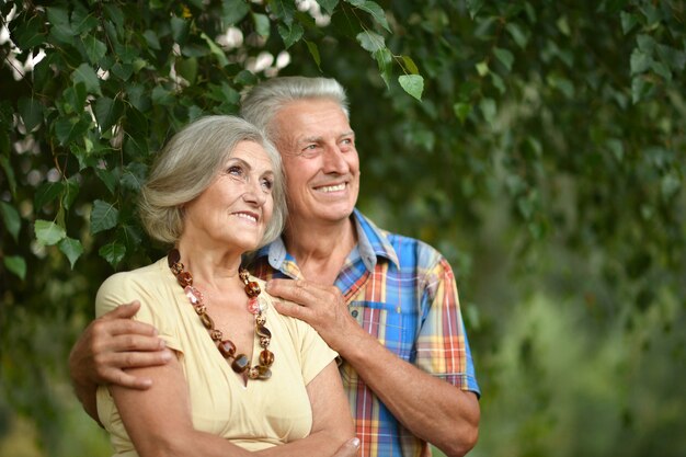 Retrato de una amorosa pareja madura en el parque de verano