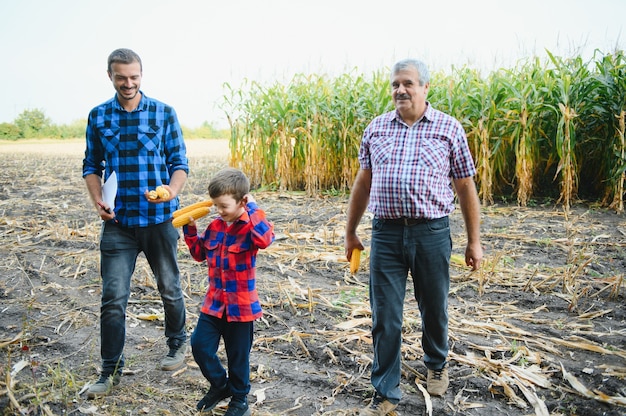 Retrato del anciano agricultor de pie en su campo lleno de cosecha junto con su hijo y nieto. Agricultura familiar.