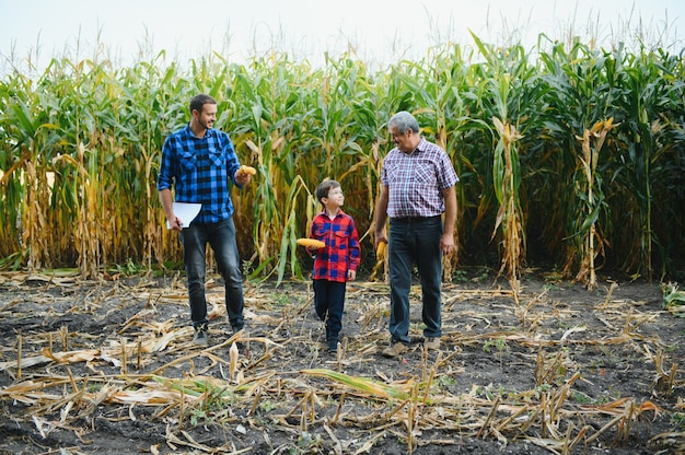 Retrato del anciano agricultor en su campo lleno de cosecha junto con su hijo y nieto. Agricultura familiar.