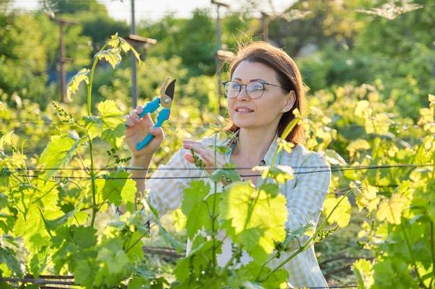 Retrato ao ar livre de primavera de mulher madura, trabalhando em vinhedo