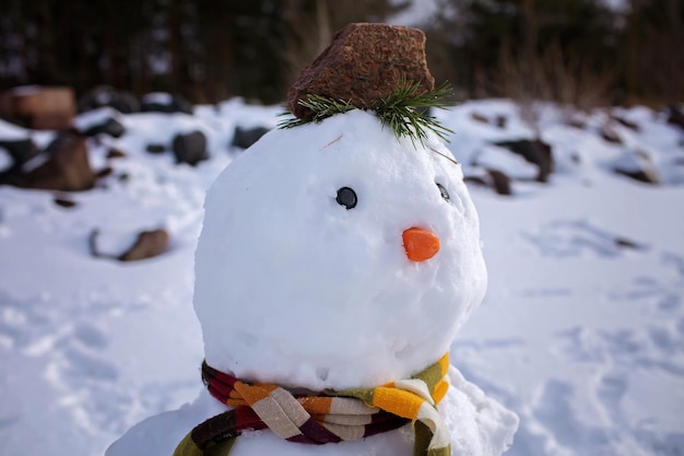 Retrato aproximado de um boneco de neve com um espaço de cenoura mordido para o fim de semana familiar sazonal de texto