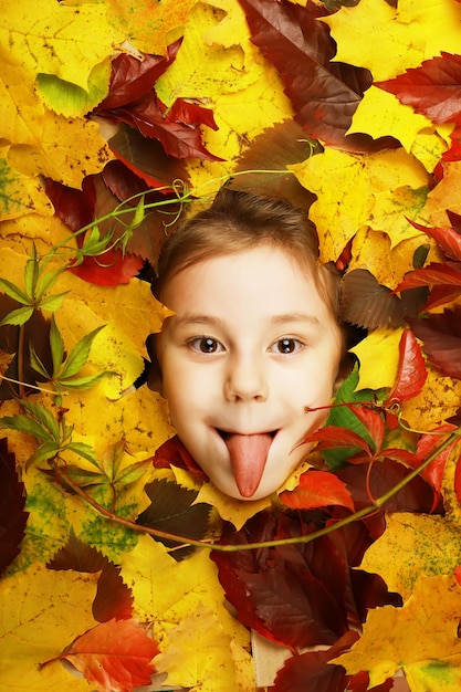 Retrato artístico conceptual de la niña de otoño. Hojas de colores. Hojas de árboles alrededor de un rostro emocional. El otoño está próximo.