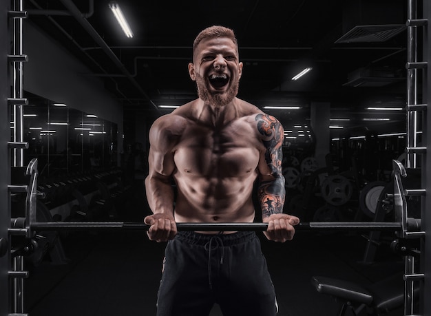 Retrato de un atleta de bíceps de bombeo en el gimnasio. Concepto de fitness y culturismo. Técnica mixta