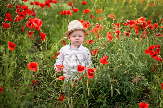 Retrato de un bebé lindo feliz en un campo de amapolas