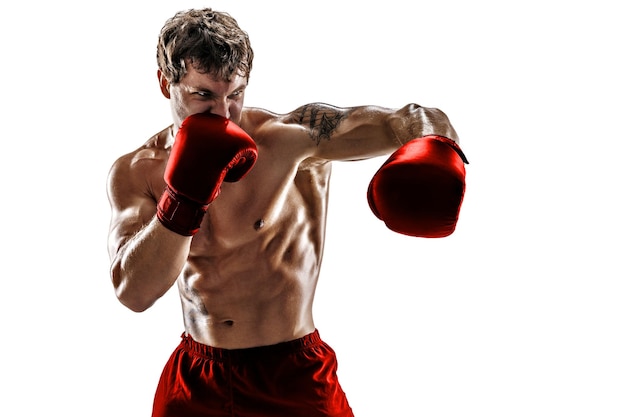 Retrato de boxeador musculoso que entrena y practica gancho izquierdo en guantes rojos sobre fondo blanco