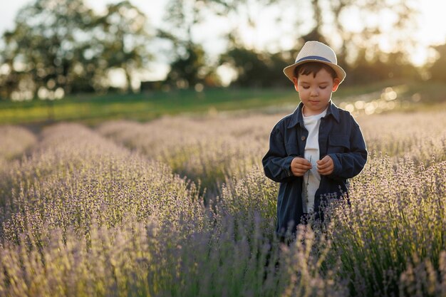 Retrato de un chico lindo con sombrero caminando en un campo con lavanda al atardecer