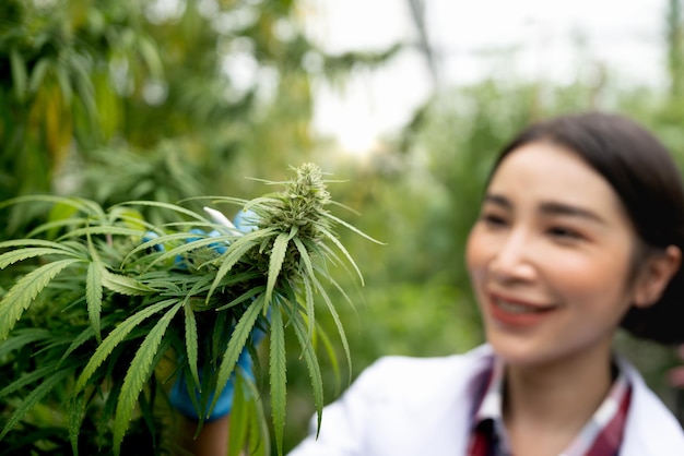 Retrato de científico con guantes Comprobación de análisis y resultados con tableta para flores de cannabis de marihuana medicinal del paciente en un invernadero