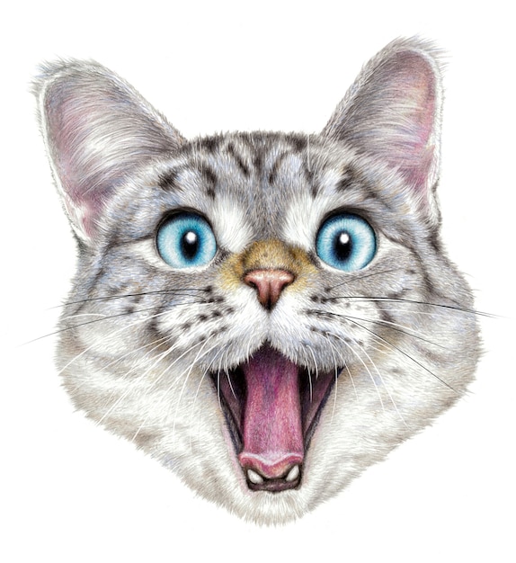 gato floppa aquarela 16541917 PNG