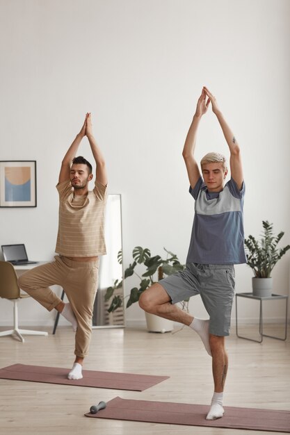 Retrato de cuerpo entero vertical de dos hombres jóvenes meditando en casa mientras se balancea con los ojos cerrados durante el ejercicio de yoga