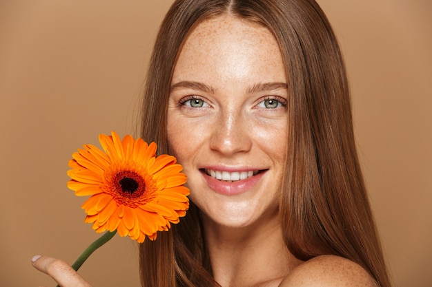 Retrato da beleza de uma bela jovem saudável com longos cabelos vermelhos mostrando flor herbera laranja isolada sobre uma parede bege