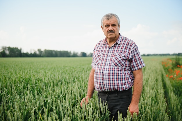 Retrato de agricultor agrônomo sênior em um campo de trigo