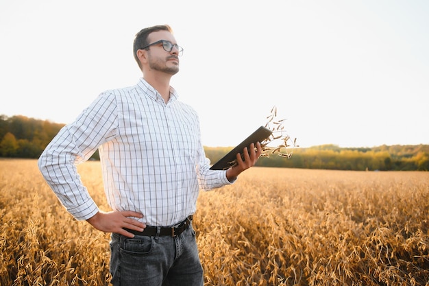 Retrato de agricultor em pé no campo de soja examinando a colheita ao pôr do sol