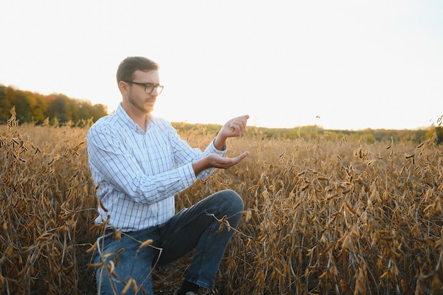 Retrato de agricultor em pé no campo de soja examinando a colheita ao pôr do sol