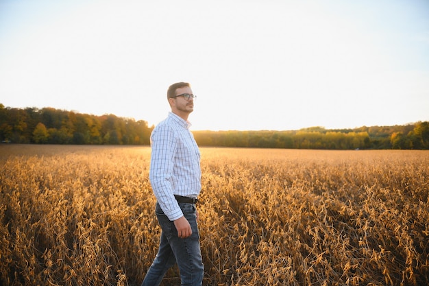 Retrato de agricultor em pé no campo de soja examinando a colheita ao pôr do sol