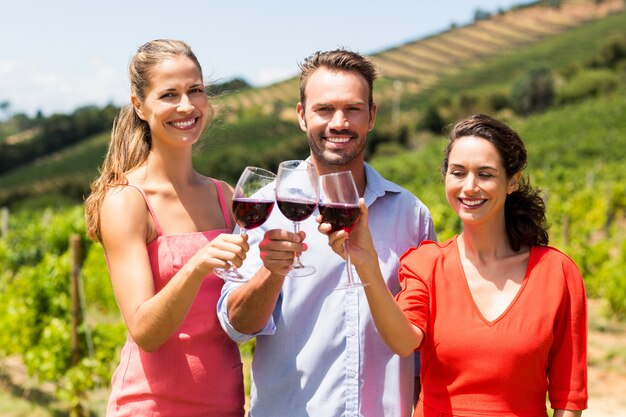 Retrato de amigos felizes, brindando com taças de vinho