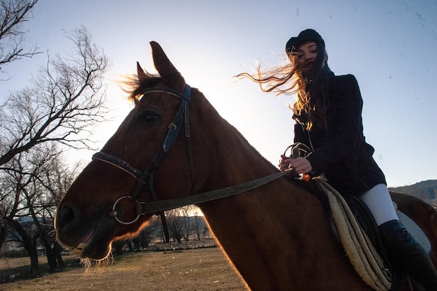 Retrato de ângulo baixo de mulher montando cavalo contra o céu claro