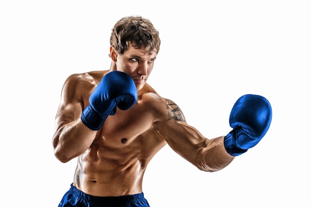 Retrato de boxeador musculoso que treina e pratica uppercut em luvas azuis sobre fundo branco