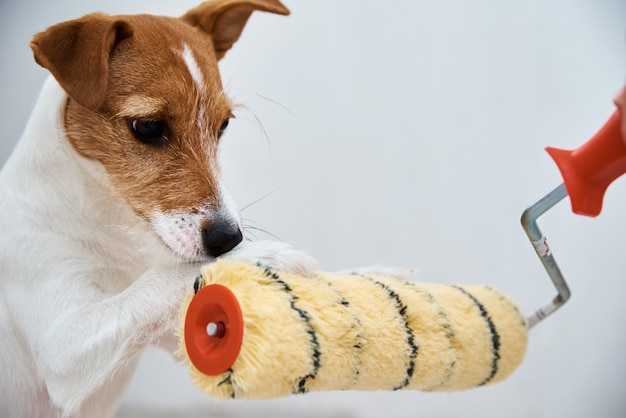 Retrato de cachorro fofo e brincalhão