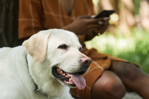 Retrato de cachorro no parque com uma jovem