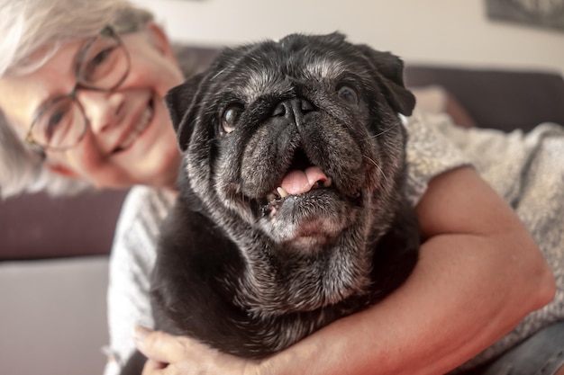 Retrato de cachorro preto de raça pura sentado com seu dono sênior no chão em casa