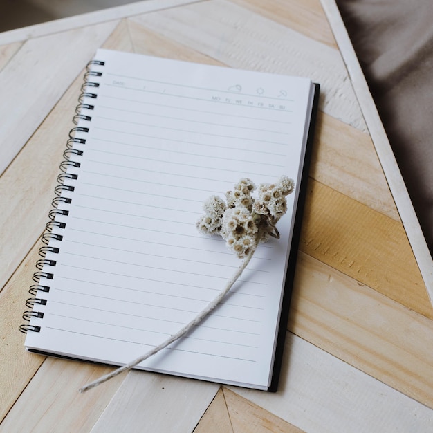 Retrato de caderno em branco com um raminho de flor edelweiss com espaço de cópia