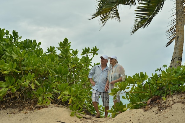 Retrato de casal de idosos na praia tropical