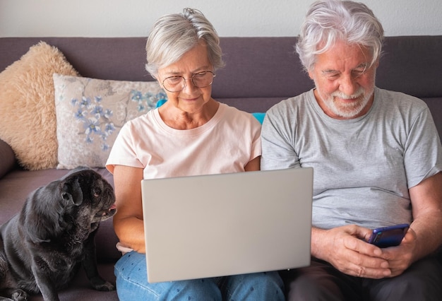 Retrato de casal de pessoas caucasianas maduras sênior com cachorro pug de estimação se divertindo junto com o amor Idosos usando telefone celular e laptop Conceito de terapia animal para idosos envelhecidos