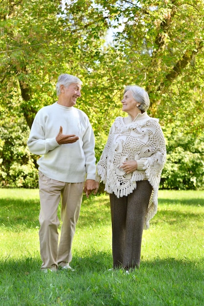 Retrato de casal de velhos no parque outono