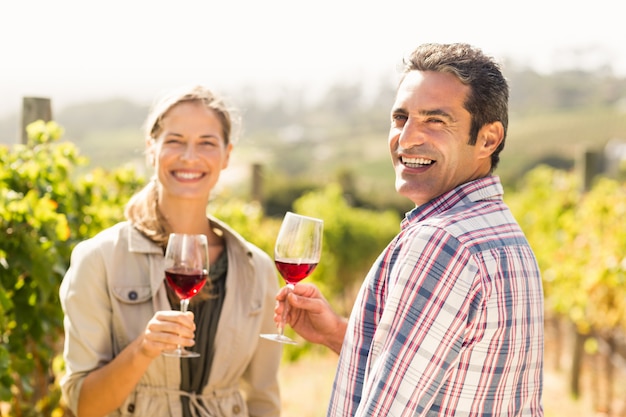 Retrato de casal feliz segurando copos de vinho