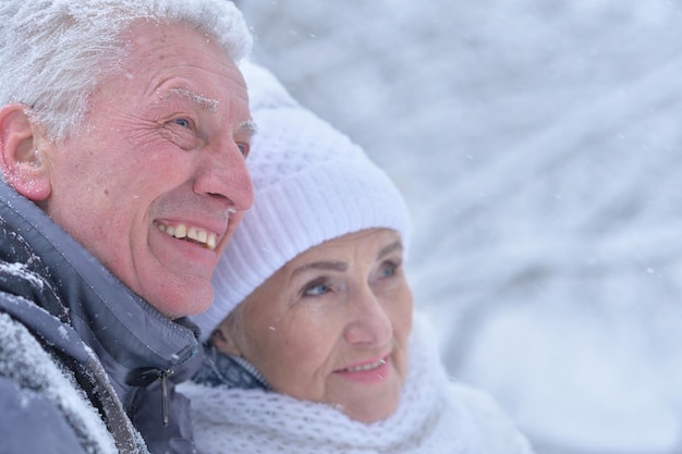 Retrato de casal sênior feliz no inverno ao ar livre