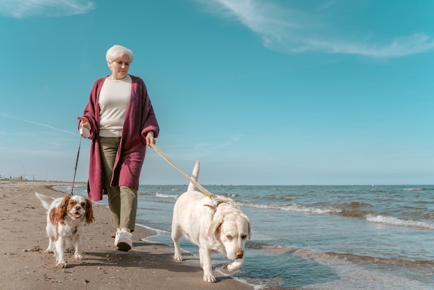 Retrato de corpo inteiro de uma mulher sênior de cabelos grisalhos passeando com seus dois animais de estimação à beira-mar