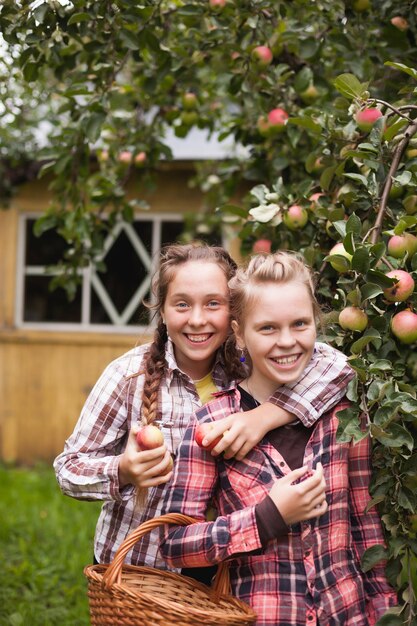 Retrato de dois adolescentes colhendo maçãs no jardim na aldeia