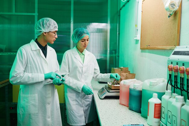 Retrato de dois trabalhadores vestindo roupas de proteção trabalhando em um laboratório biológico iluminado por luz verde, copie o espaço