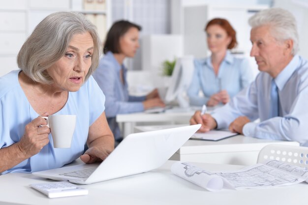 Retrato de empresários trabalhando no escritório