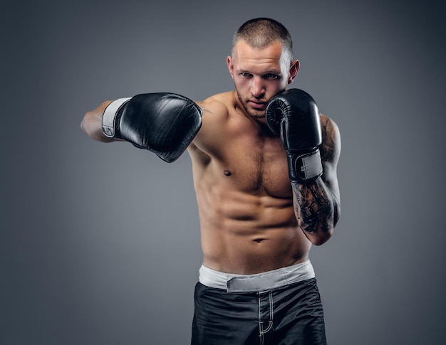 Retrato de estúdio do lutador de boxe sem camisa isolado em fundo cinza.