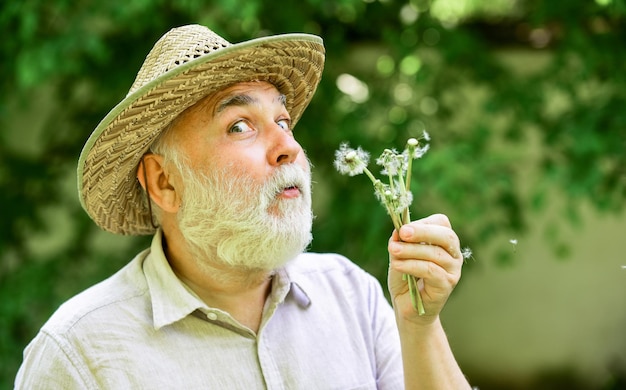 Foto retrato de fada de verão feliz e despreocupado aposentadoria vovô agricultor homem sênior sopra sementes de dente de leão no parque homem idoso com chapéu de palha de verão conceito de perda de memória conceito de calvície e perda de cabelo